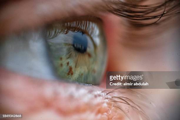 eye pupil - iris mann stock-fotos und bilder