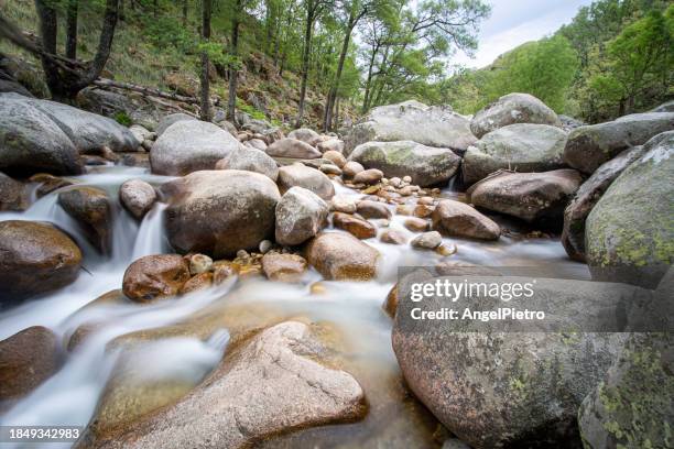 rapids on the jerte river in the vicinity of the gargana del infierno, in extremadura. - río swift stock pictures, royalty-free photos & images