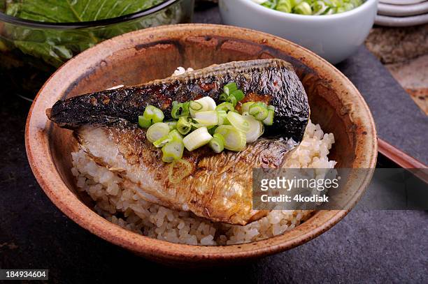 mackerel over rice - makreel stockfoto's en -beelden