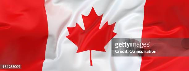 grande bandeira canadense - canadian flag - fotografias e filmes do acervo