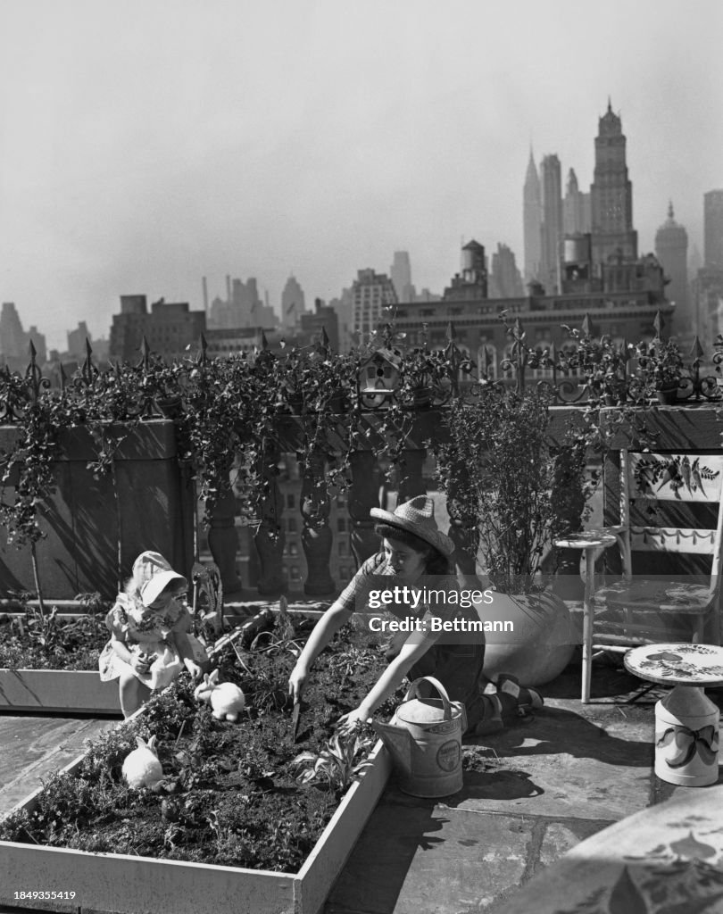 NYC's vegetable garden