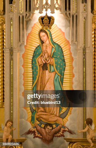 The Virgin of Guadalupe The Virgin of Guadalupe