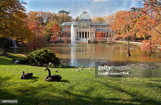a crystal palace in retiro park, madrid - madrid stock pictures, royalty-free photos & images