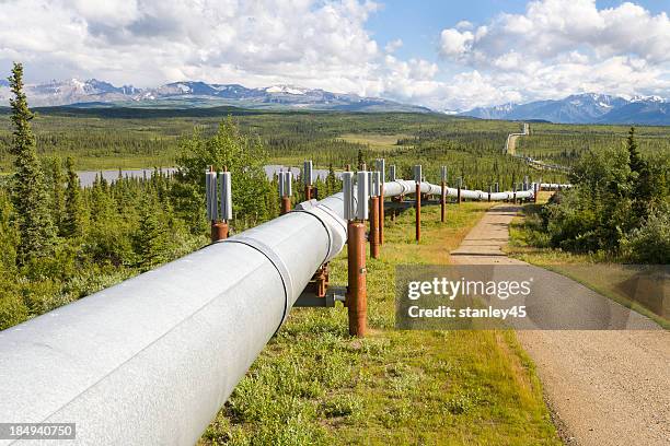 cambio olio dell'alaska pipeline, alaska - oleodotto foto e immagini stock