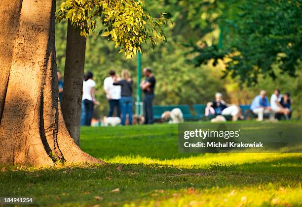 group of people relaxing among trees in city park. - chatting park stockfoto's en -beelden