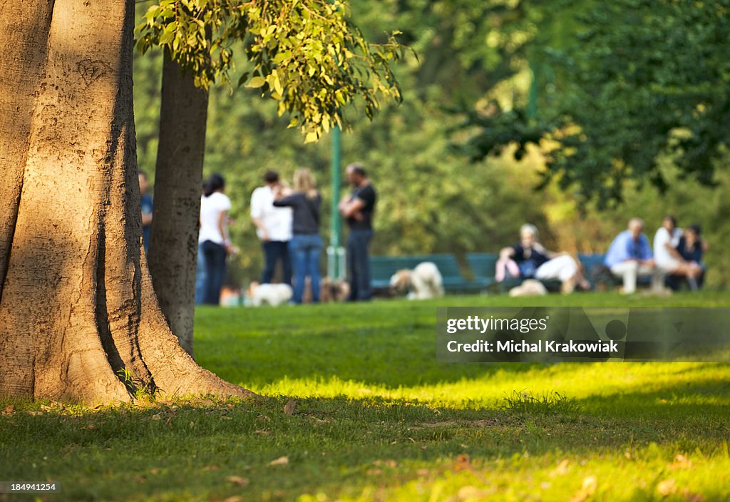 Group of people relaxing among trees in city park.