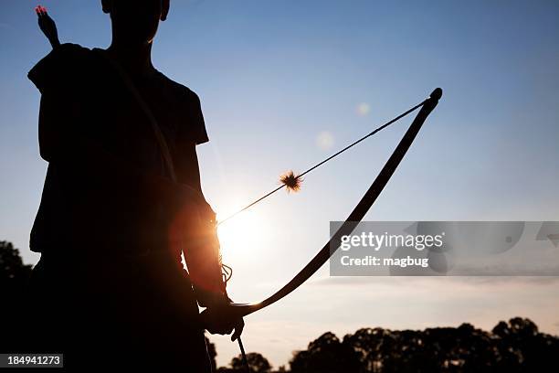 sunset archer - hunting arrow stock-fotos und bilder