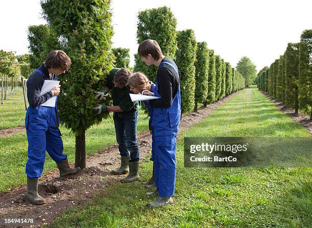 apprentice and agricultural activity - landscape architect stock pictures, royalty-free photos & images