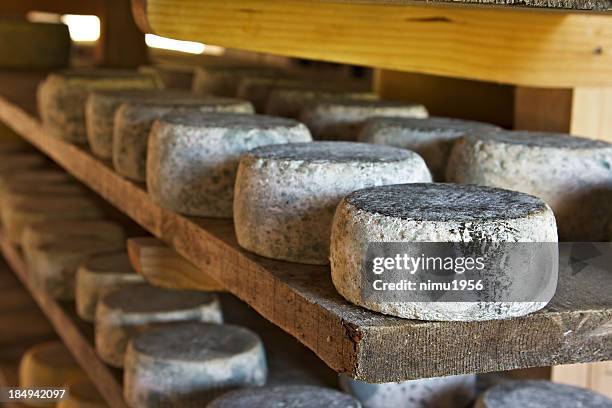 asiago cheese aging in the factory - asiago italy stock pictures, royalty-free photos & images