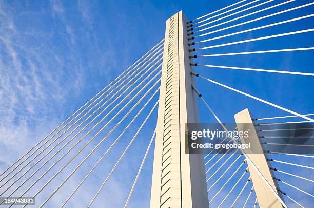 7 770点のタコマのストックフォト Getty Images 7 770点のタコマのストックフォト Getty Images