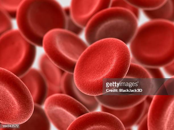 rotes blutkörperchen - red blood cell stock-fotos und bilder