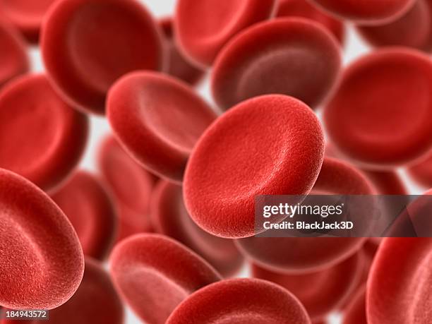 les cellules de sang - red blood cells photos et images de collection