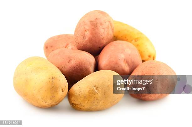 red and yellow potatos - sweet potato on white stock pictures, royalty-free photos & images