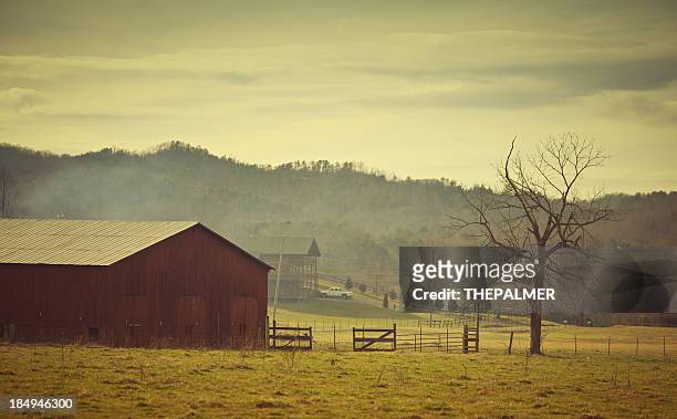 barnyard in wears valley - tennessee farm stock pictures, royalty-free photos & images