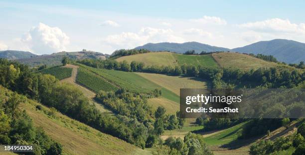 hills - parmigiano foto e immagini stock