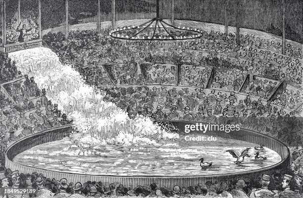 wasserzirkus, wasser fällt in die manege - zirkusveranstaltung stock-grafiken, -clipart, -cartoons und -symbole
