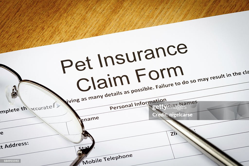 Pet Insurance Claim Form