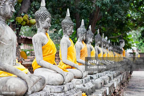 buddha statues - ayuthaya stock pictures, royalty-free photos & images