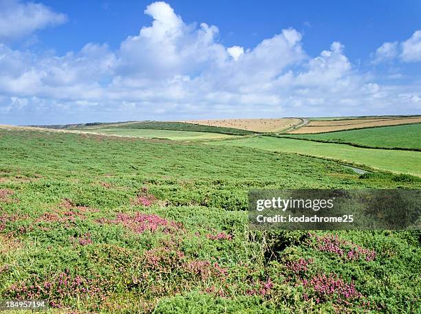 downland - bodmin moor stock pictures, royalty-free photos & images