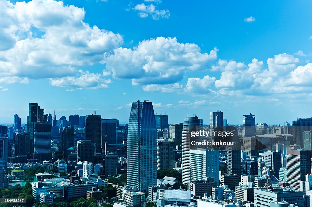 Tokyo Cityscape