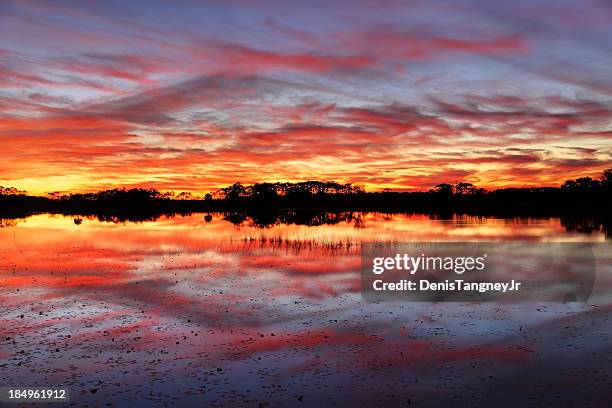 puesta de sol brillante - tallahassee fotografías e imágenes de stock