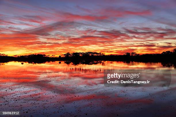 brilliant sunset - st marks wildlife refuge stock pictures, royalty-free photos & images