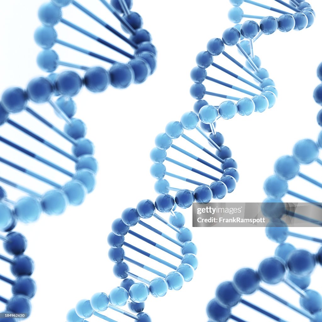 DNA Molecule Square