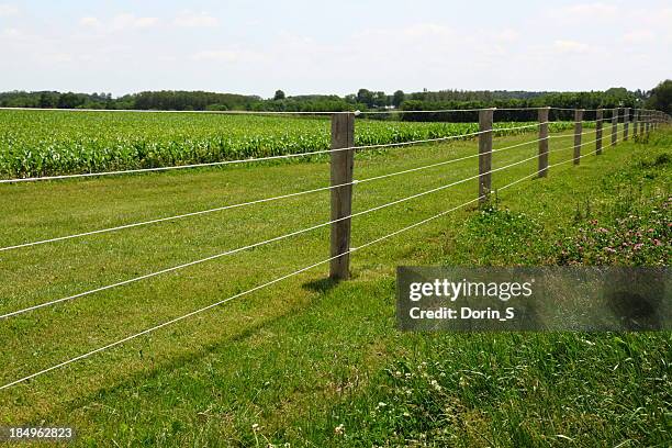 electric fence - fence stockfoto's en -beelden