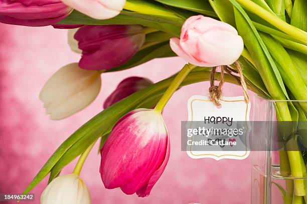 frühling tulpen für mutter's day - tulips cat stock-fotos und bilder