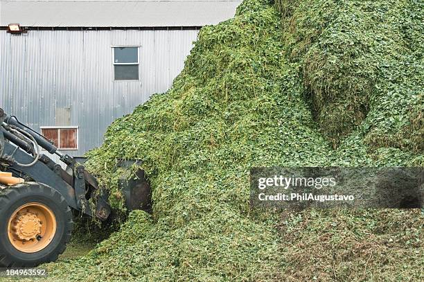 traktor's schaufel moving hop vines und blätter auf einem lkw - garbage truck stock-fotos und bilder