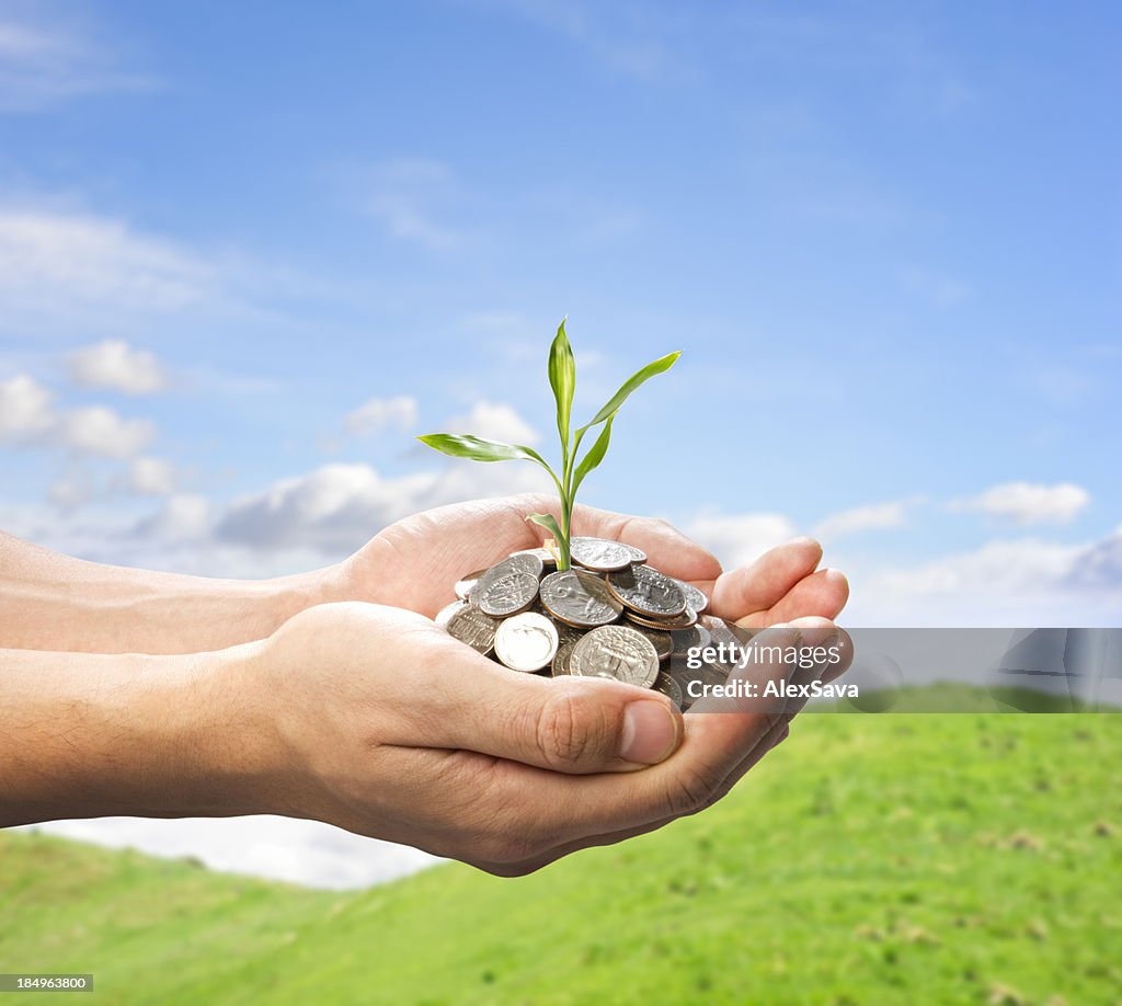 Male hands holding coins and small plant