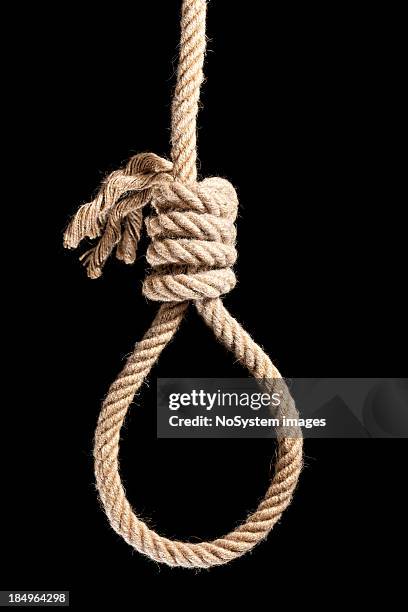 noose isolated on black - noose stock pictures, royalty-free photos & images