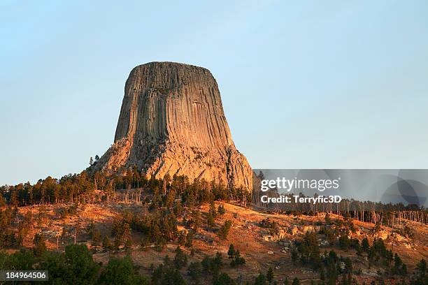 devil's tower nat'l monument, wy sunrise - devils tower stock pictures, royalty-free photos & images