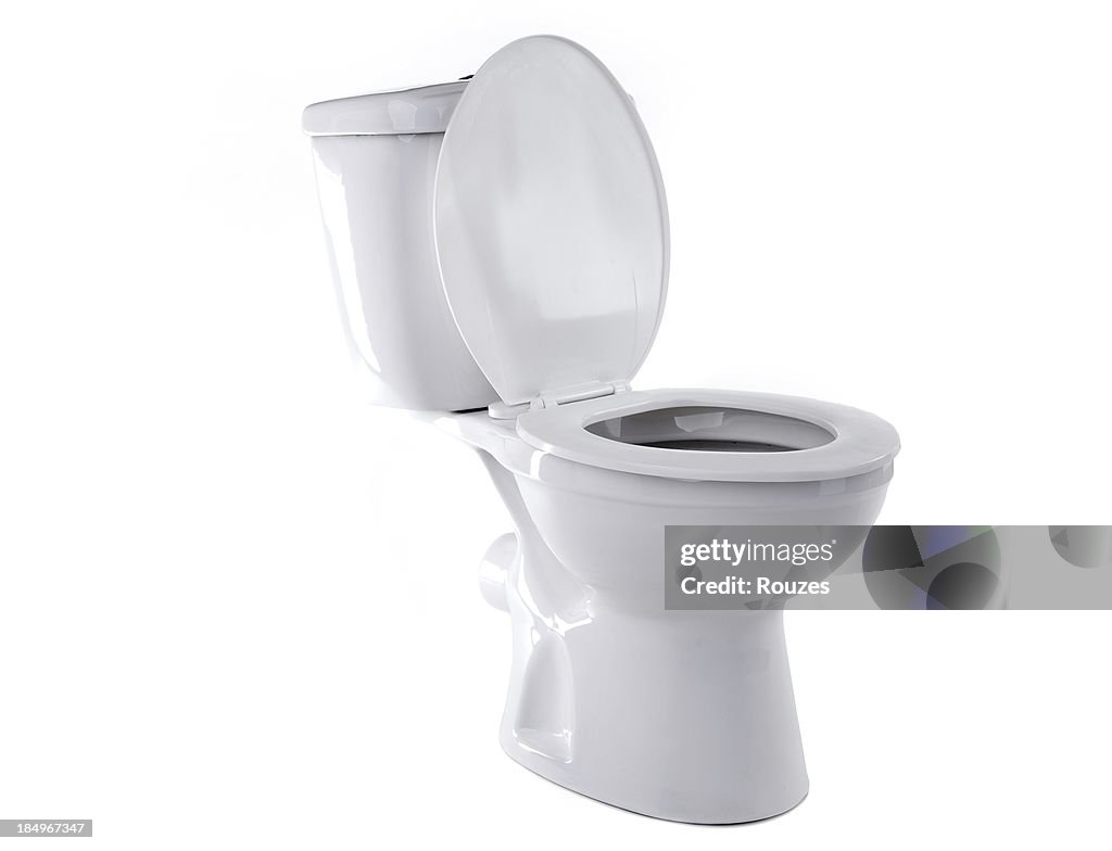 Toilet isolated