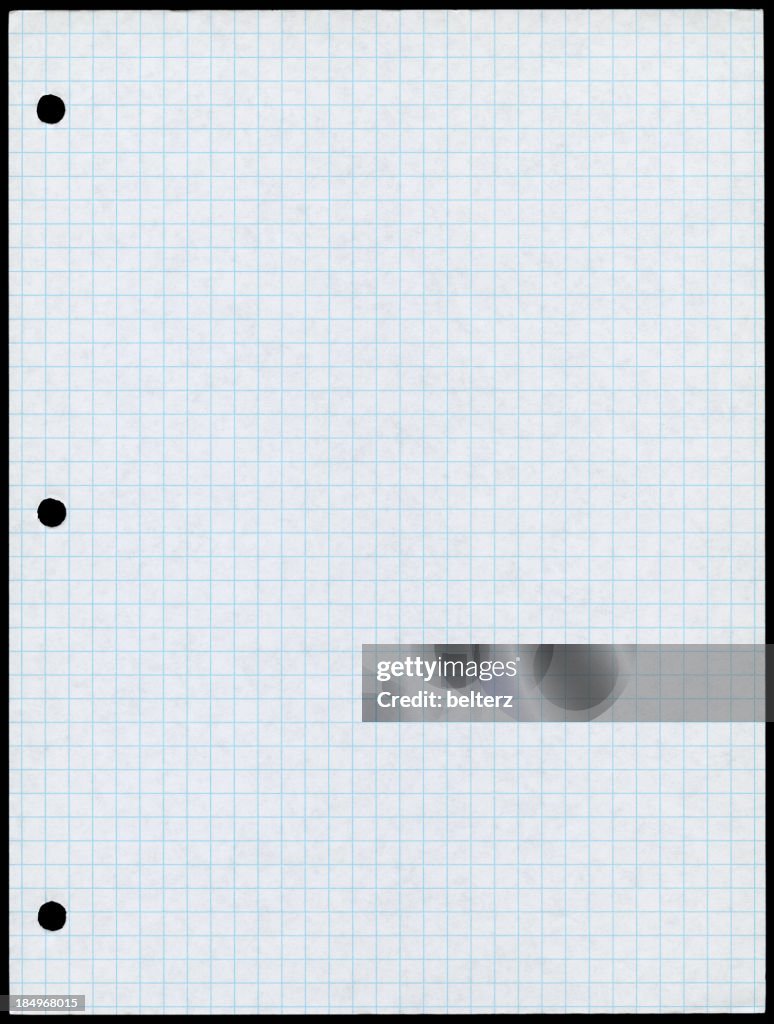 Holepunched white paper with blue graph lines