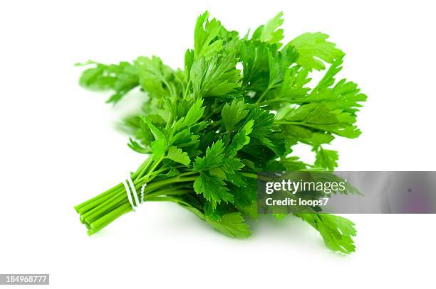 salsa - salsa imagens e fotografias de stock