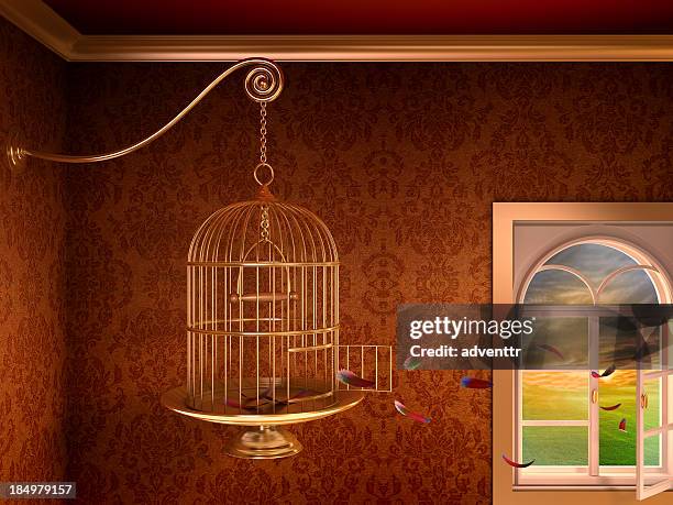 empty birdcage - breaking boundaries stock pictures, royalty-free photos & images