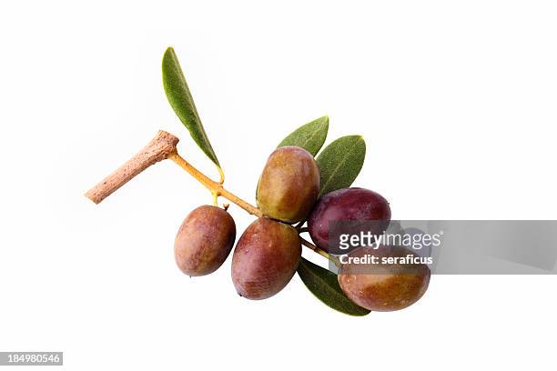 oliven auf weiß - olives stock-fotos und bilder