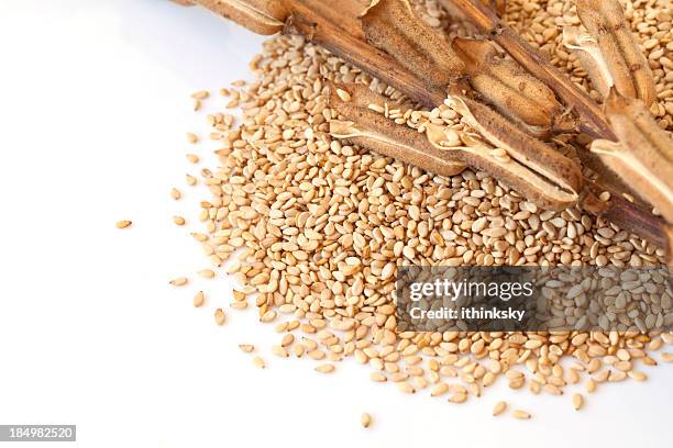 sesame - sesame stock pictures, royalty-free photos & images