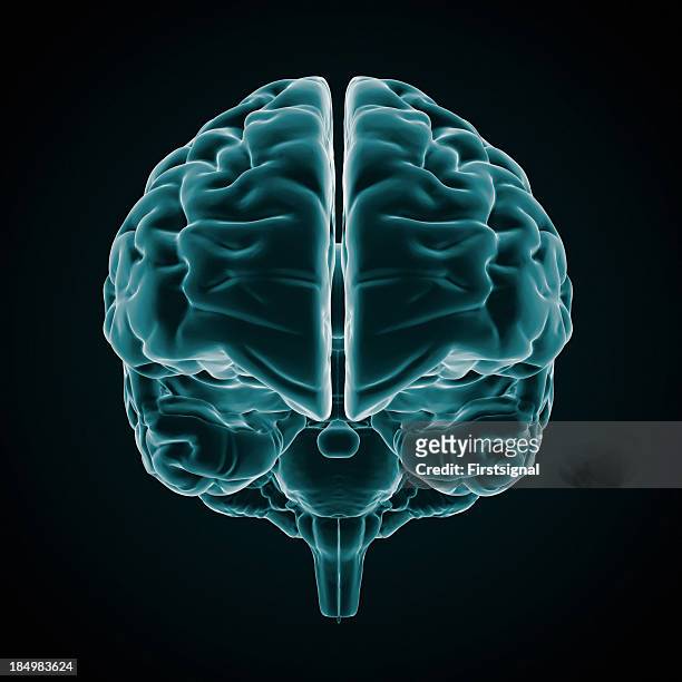 an x-ray of the human brain on a black background - human brain lateral stock pictures, royalty-free photos & images