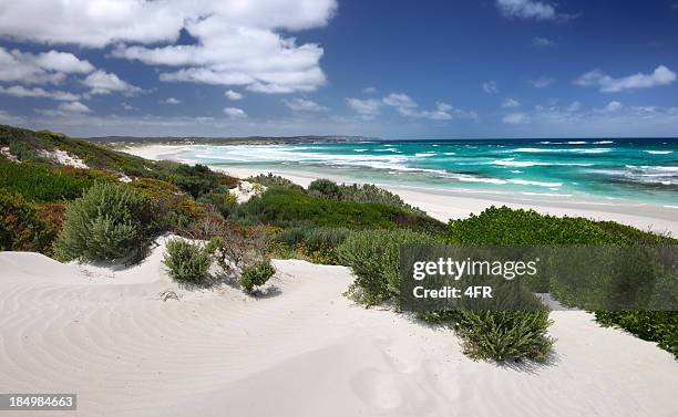 känguru-insel), australien (xxxl - south australia stock-fotos und bilder