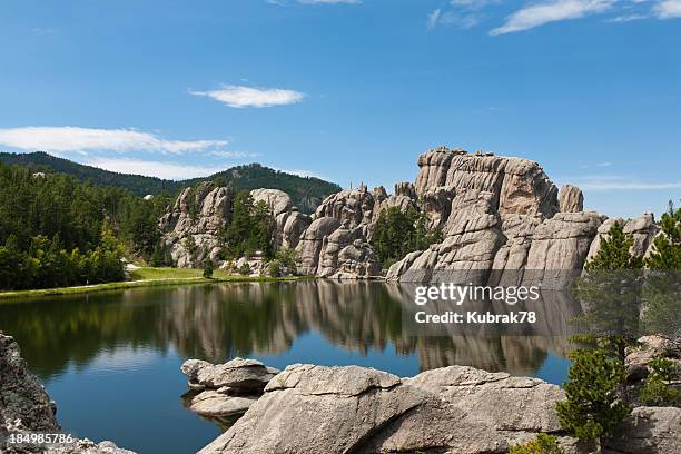 black hills paisagem com lago; dakota do sul - parque estatal custer imagens e fotografias de stock