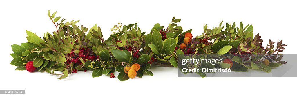 Christmas Garland on White