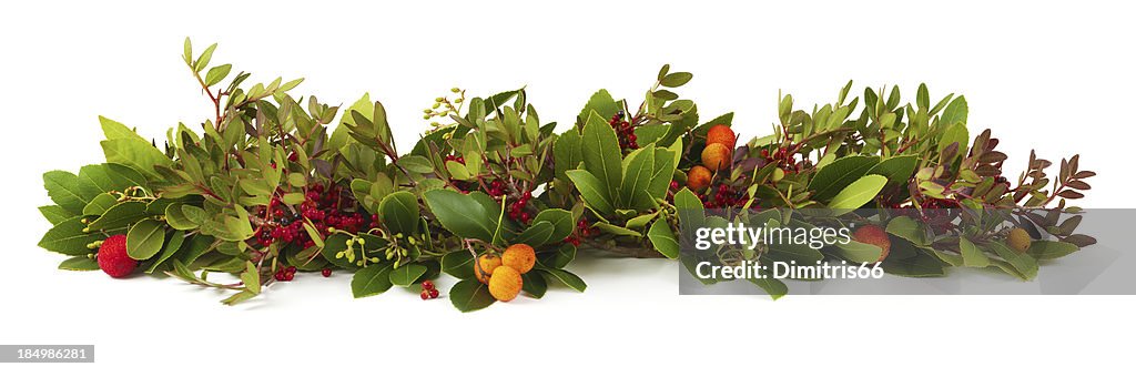 Natal Garland em branco