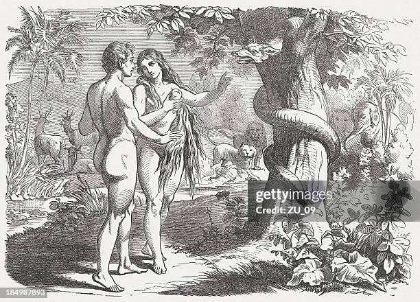fall of man (genesis 3, 6), wood engraving, published 1877 - garden of eden art stock illustrations