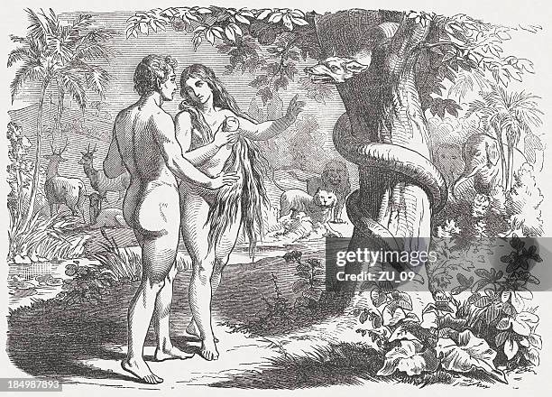 fall of man (genesis 3, 6), wood engraving, published 1877 - eden stock illustrations