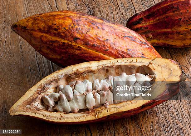 ココアフルーツ foodstuff - カカオの実 ストックフォトと画像