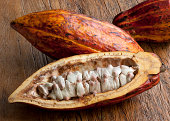 Cocoa fruit - Foodstuff