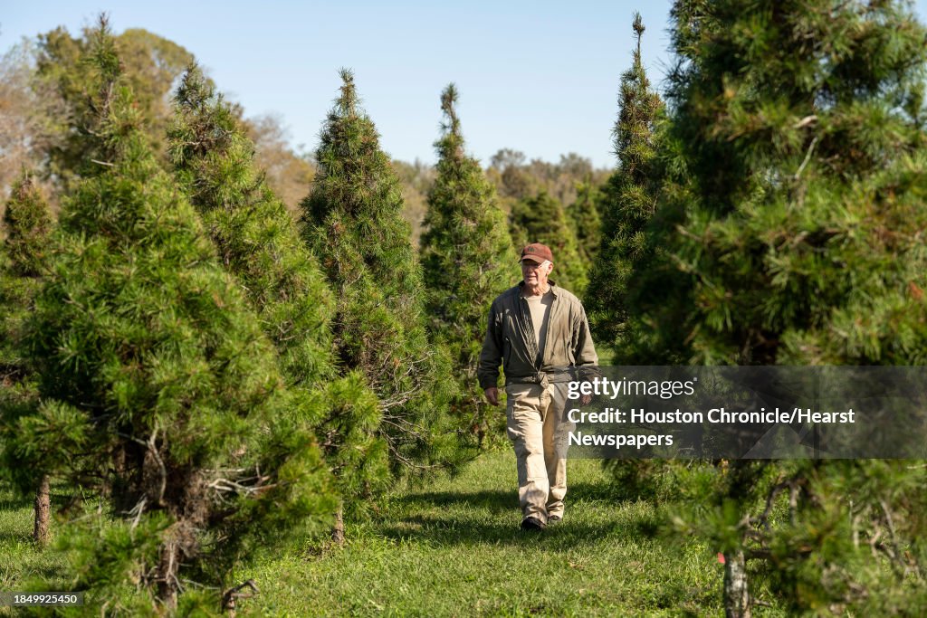 Christmas Tree Farms