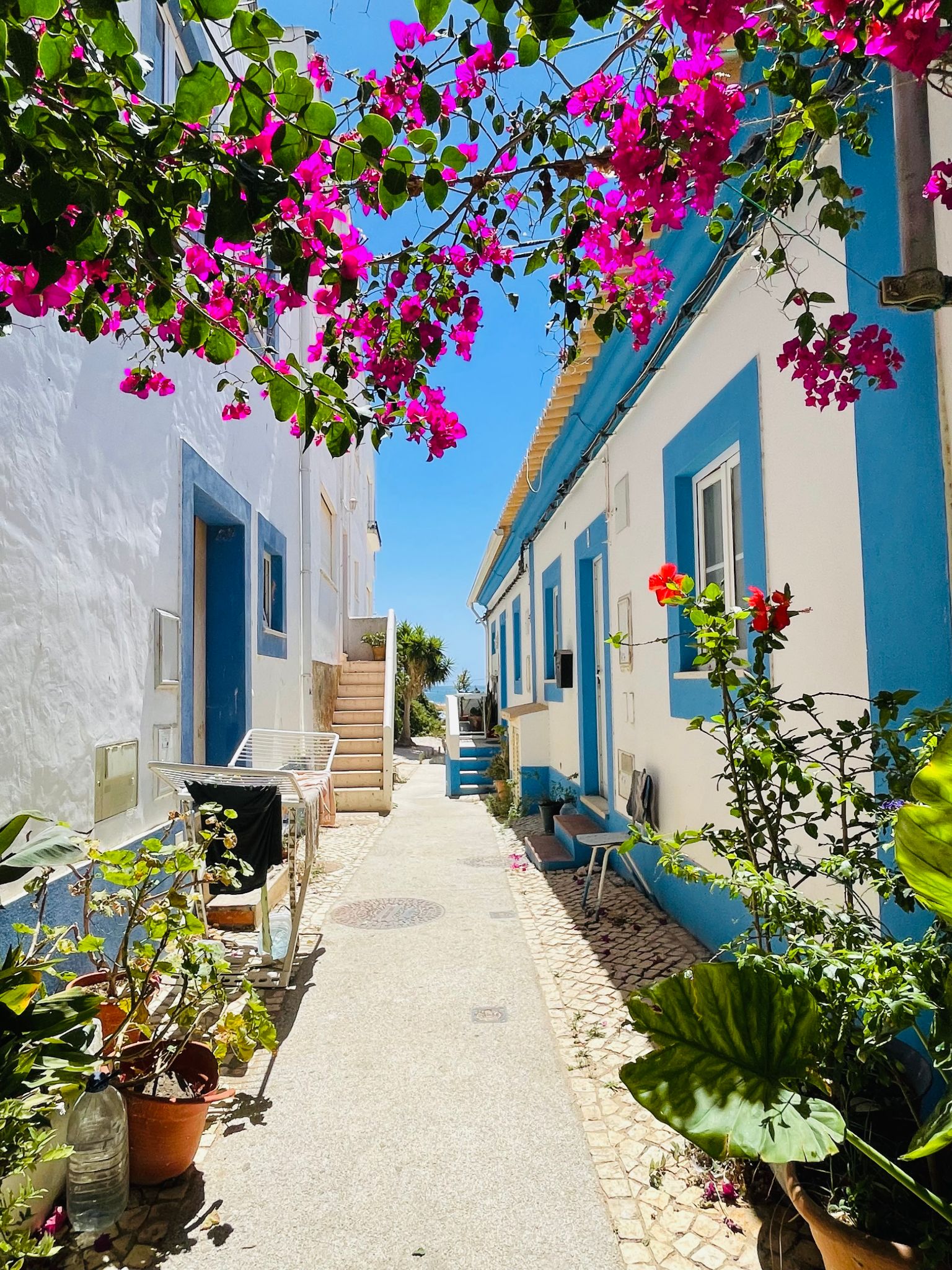 algarve culture